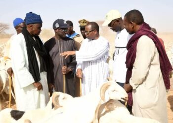 Autosuffisance en moutons : Dr Mabouba Diagne appelle à une mobilisation nationale pour réduire la dépendance aux importations 1 FB IMG 1745874077380