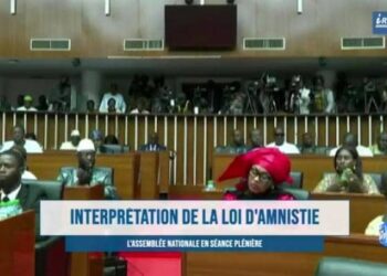 L'Assemblée nationale adopte la loi d'interprétation portant sur l'amnistie avec 126 voix pour et 20 voix contre 3 IMG 20250402 WA0231