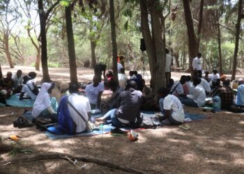 Journée de la Terre : Green Generation mobilise la jeunesse autour de l’énergie durable 1 IMG 20250422 WA0232