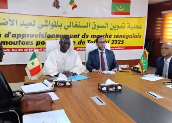 Tabaski 2025 : Le ministre Mabouba Diagne en mission en Mauritanie pour assurer l’approvisionnement en moutons 8 IMG 20250428 WA0267