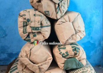Ziguinchor : Deux individus interpellés avec 8 kg de chanvre indien 5 IMG 20250429 WA0271