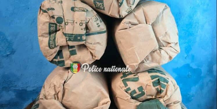 Ziguinchor : Deux individus interpellés avec 8 kg de chanvre indien 1 IMG 20250429 WA0271