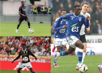 InCollage 20250401 170755657