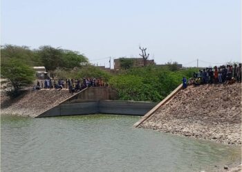 Drame à Diamniadio : Un enfant se noie dans le barrage du village de Discours 1 InCollage 20250406 133231150