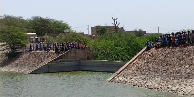 Drame à Diamniadio : Un enfant se noie dans le barrage du village de Discours 1 InCollage 20250406 133231150