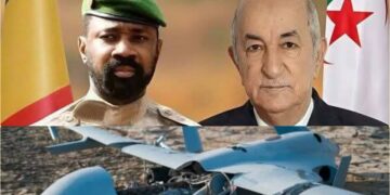 InCollage 20250406 231652935