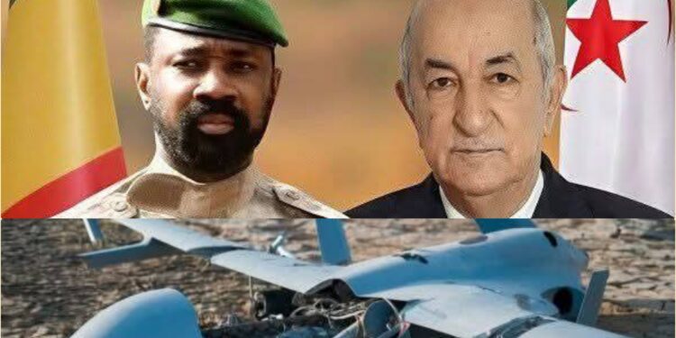 InCollage 20250406 231652935