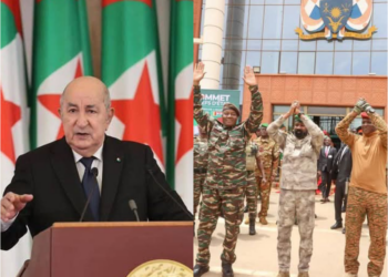 InCollage 20250407 152819694