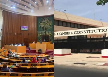 InCollage 20250409 134121106