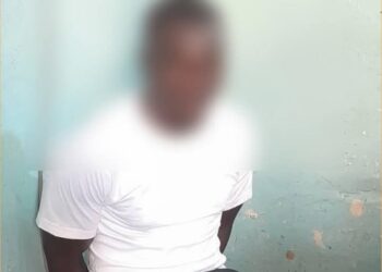 Arrestation à Diouloulou : Un fugitif gambien capturé par la Gendarmerie sénégalaise 4 InCollage 20250410 112313167