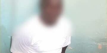 InCollage 20250410 112313167