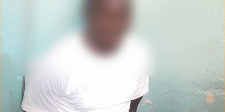 Arrestation à Diouloulou : Un fugitif gambien capturé par la Gendarmerie sénégalaise 1 InCollage 20250410 112313167