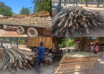 InCollage 20250410 115929416