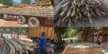 InCollage 20250410 115929416