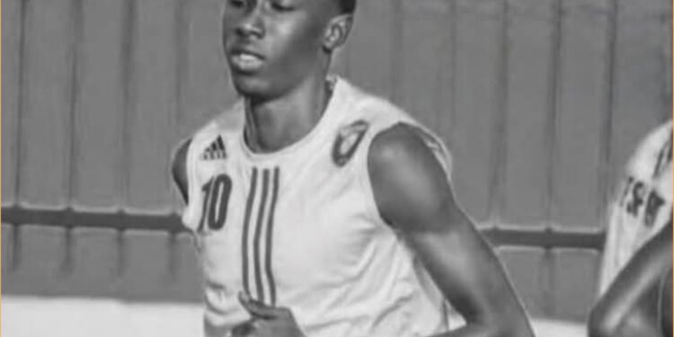 InCollage 20250410 155229161