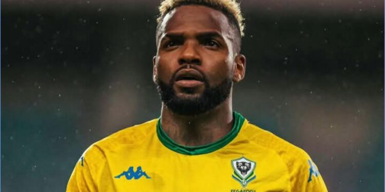 InCollage 20250416 094601534