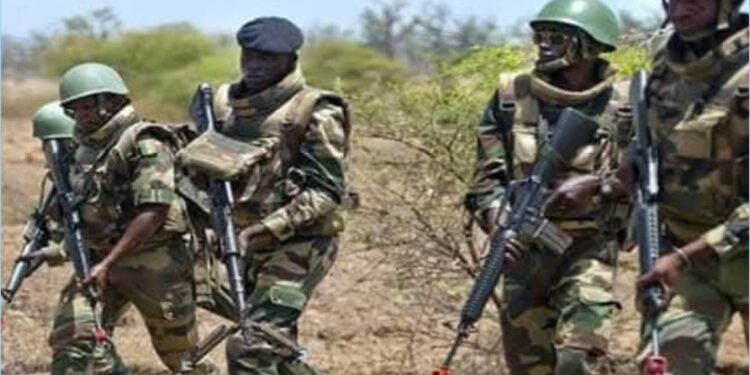 Casamance : reprise des opérations de sécurisation  après une attaque armée à Djignaky 1 InCollage 20250416 114658501