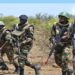 Casamance : reprise des opérations de sécurisation après une attaque armée à Djignaky 6 InCollage 20250416 114658501
