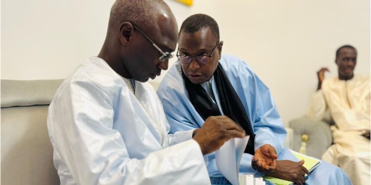 Autosuffisance alimentaire : L'État s'inspire du modèle des Baye Fall pour réussir le pari 1 InCollage 20250427 090747496