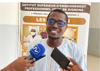 Masterclass sur la culture de l'ananas : un potentiel inexploité pour la Casamance 2 InCollage 20250428 142403168