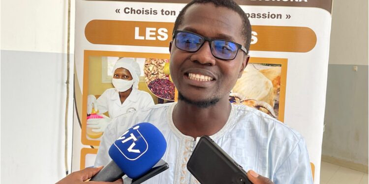 Masterclass sur la culture de l'ananas : un potentiel inexploité pour la Casamance 1 InCollage 20250428 142403168