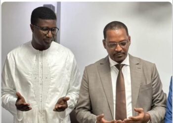 Foncier litigieux à Pikine-Guédiawaye : révélations en cascade et accusations croisées 4 InCollage 20250429 075108916