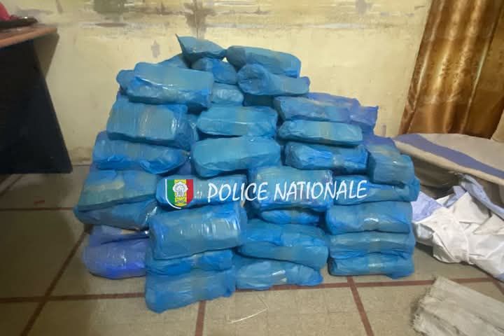 Kaolack : Saisie de 119 kg de chanvre indien à Nioro Keur Alassane 2 fb img 1745408839998153445901291207111