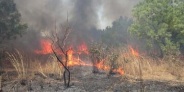 FB IMG 1746100791530 4