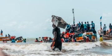 FB IMG 1746435780750