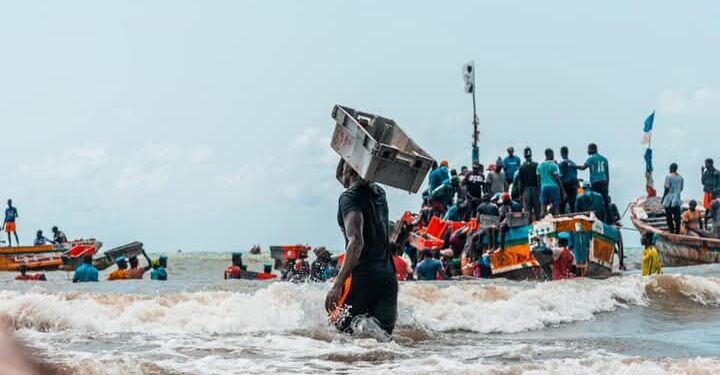 FB IMG 1746435780750