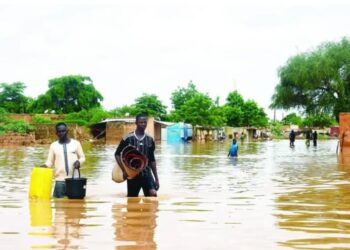 Saison des pluies 2025 : que prévoit l’ANACIM pour le Sénégal ? 1 FB IMG 1746627504031
