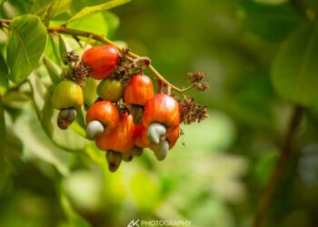 FB IMG 1746628675174 2