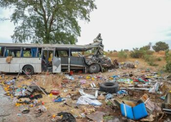 Excès de passagers et animaux errants : le gouvernement alerte sur les causes évitables des drames routiers 1 FB IMG 1746689229404