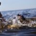Noyade en mer : quatre élèves perdent la vie, l'Académie de Pikine-Guédiawaye lance une alerte 7 FB IMG 1746826164487