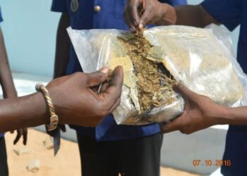 Mbour : Un trafiquant de chanvre indien arrêté avec 5 kg de drogue 3 FB IMG 1747409073341