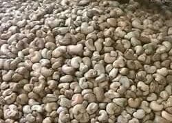 FB IMG 1747479160598