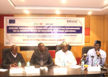 Atelier préparatoire de la société civile : vers une contribution harmonisée au dialogue national 1 IMG 20250512 WA0091
