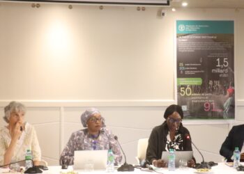 Afrique de l’Ouest : vers une meilleure mobilisation des fonds environnementaux du FEM et du FVC 1 IMG 20250513 WA0127