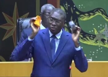 Ismaïla Madior Fall sous bracelet électronique pour tentative de corruption 1 IMG 20250520 WA01001