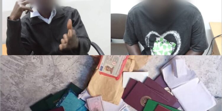 InCollage 20250503 151148419