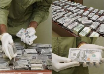 Saisie record de billets noirs : près de 8 milliards de francs CFA interceptés par les Douanes sénégalaises 2 InCollage 20250507 222015951