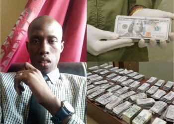 InCollage 20250510 140837114