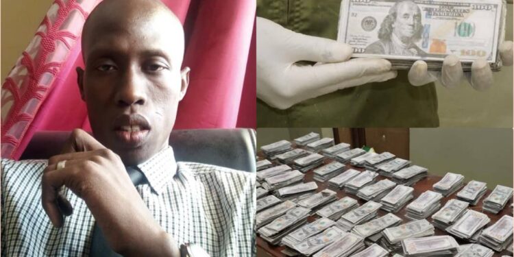 InCollage 20250510 140837114