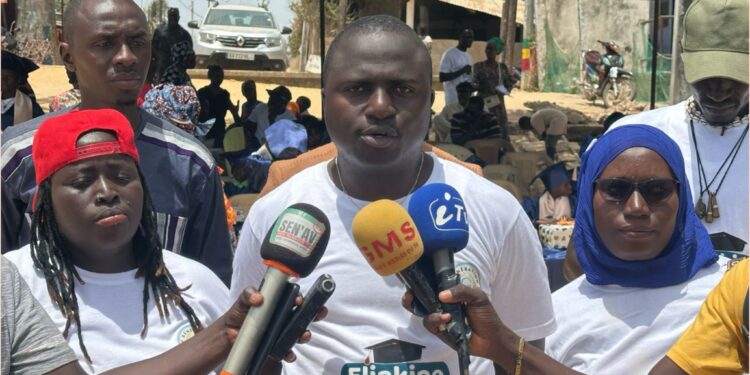 InCollage 20250512 192240219