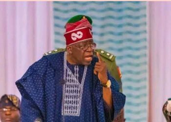 Nigeria: Le président Tinubu approuve la création de gardes forestiers pour traquer les terroristes 1 InCollage 20250515 135237182