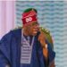 Nigeria: Le président Tinubu approuve la création de gardes forestiers pour traquer les terroristes 7 InCollage 20250515 135237182