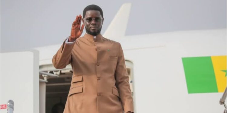 InCollage 20250523 063207406