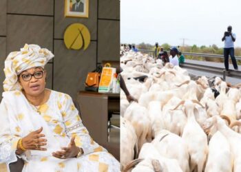 InCollage 20250524 182902128