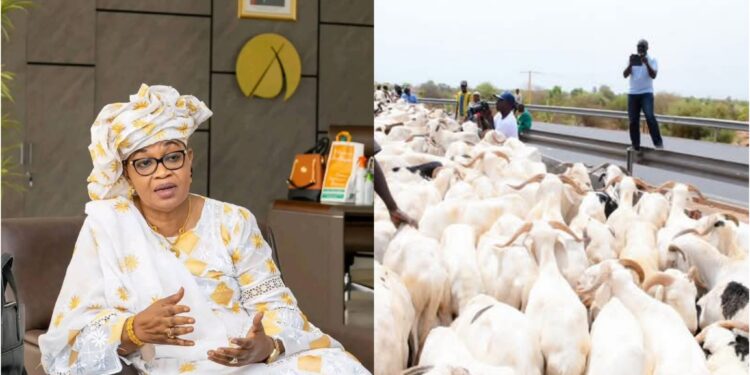 InCollage 20250524 182902128