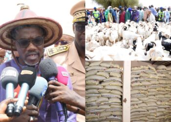 InCollage 20250526 150953670